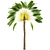 Ravenala Madagascariensis Travelers Palm - 5 Exquisite Trees 3D model small image 2