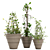 Versatile Ivy Plant Stand Set 3D model small image 1