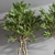 52-Piece Indoor Plant Set: Stunning 3D Models & Multiple Formats 3D model small image 6