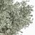 Beautiful Olive Tree 3D Model 3D model small image 3