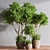 Lush Indoor Greenery Set 3D model small image 2