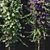 Bougainvillea 09: Versatile 3D Floral Model 3D model small image 2