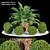 Exquisite Outdoor Plants Vol. 24 3D model small image 1