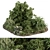 Gorgeous Garden Greenery Set 3D model small image 1