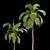 Tropical Majesty: Queen Palm Set 3D model small image 3