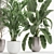 Exotic Plant Collection in White Pot 3D model small image 3