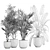 Exotic Plant Collection in White Pot 3D model small image 6