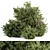 Lush Mix: Bush Set 37 3D model small image 1