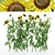 10 Varieties of Bush Sunflowers | 3D Models 3D model small image 1