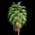 Mexican Fan Palm Bundle: 9 Elegant Trees 3D model small image 3