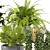 Modern Indoor Plants in Bau Pot Set 3D model small image 4