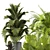 Modern Indoor Plants in Bau Pot Set 3D model small image 5