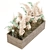 Elegant Pampas Plant: Indoor Beauty 3D model small image 2