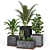 Modern Indoor Plants Collection 3D model small image 2