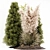 Outdoor Pampas Plant: High-Quality 3D Model 3D model small image 2