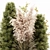 Outdoor Pampas Plant: High-Quality 3D Model 3D model small image 3