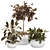 Botanical Bliss: Rubber Plant Vase Pack 3D model small image 1