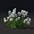 Valerian Red Flowers | Centranthus Ruber Albus 3D model small image 4