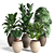 Tropical Plant Collection 3D model small image 1