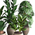 Tropical Plant Collection 3D model small image 2