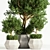 Indoor Tree: Potted Greenery for Any Space 3D model small image 2