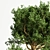 Indoor Tree: Potted Greenery for Any Space 3D model small image 4