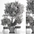 Indoor Tree: Potted Greenery for Any Space 3D model small image 6