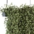 Tropical Oasis: Indoor Hanging Plant Set 3D model small image 3