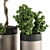  Modern Pot Plant Set - Outdoor 272 3D model small image 2