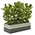 Green Oasis: Indoor Plants Collection 3D model small image 1