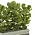 Green Oasis: Indoor Plants Collection 3D model small image 3