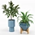 Green Oasis Indoor Plant Set 3D model small image 2