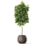 Lush Greenery: 575 Plant Collection 3D model small image 2