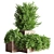 Beautiful Outdoor Tree for Stunning Landscapes 3D model small image 1