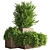 Beautiful Outdoor Tree for Stunning Landscapes 3D model small image 2