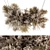  Serene Hanging Dried Pendant Set 3D model small image 1