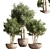 Stylish Indoor Plant Stand 19 3D model small image 1