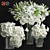 Elegant Glass Vase Collection 3D model small image 4