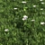 Versatile Grass Collection: 4 Types 3D model small image 1