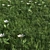 Versatile Grass Collection: 4 Types 3D model small image 2