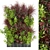 Title: Premium Plant Collection - Vol 243 3D model small image 1