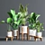 Green Oasis Indoor Plant Set 3D model small image 1