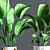 Green Oasis Indoor Plant Set 3D model small image 5