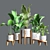 Green Oasis Indoor Plant Set 3D model small image 8