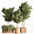 Green Oasis Indoor Plant Set 3D model small image 1