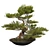 118CM BONSAI06: Authentic Zen Tree 3D model small image 2