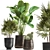 Tropical Plant Collection: Reclaimed Iron Pot, Exotics & Calathea 3D model small image 1