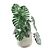 Tropical Vibes: Monstera Deliciosa 3D model small image 4