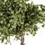 Fruitful Pot: Outdoor Tree Set 3D model small image 3