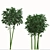 Golden Bamboo Plants Set (6-Pack) 3D model small image 4